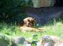 100_5103_09_07_2010.jpg