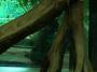100_5211_13_07_2010.jpg