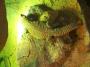 100_5217_13_07_2010.jpg
