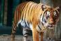 100_5232kd.JPG