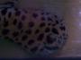 100_5309_13_07_2010.jpg