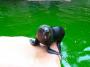 100_5340_13_07_2010.jpg
