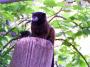 100_5355_13_07_2010.jpg