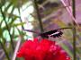 100_5408_14_07_2010.jpg
