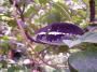 100_5411_14_07_2010.jpg