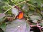 100_5413_14_07_2010.jpg