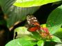 100_5415_14_07_2010.jpg