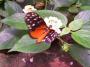 100_5419_14_07_2010.jpg