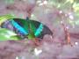 100_5421_14_07_2010.jpg
