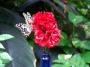 100_5430_14_07_2010.jpg