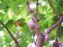 100_5438_14_07_2010.jpg