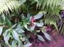 100_5445_14_07_2010.jpg