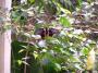 100_5451_14_07_2010.jpg