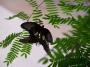 100_5465_14_07_2010.jpg