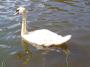 100_5474_14_07_2010.jpg