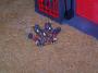 100_5683_19_07_2010.jpg
