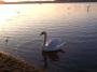 100_6073.jpg