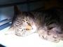 100_6145_22_07_2010.jpg
