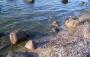 100_8070.JPG
