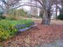 100_8410_14_11_2010.jpg