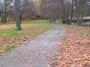 100_8433_14_11_2010.jpg