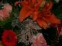 100_8462.JPG