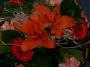 100_8463.JPG