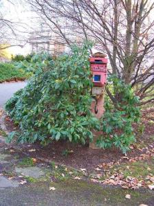 100_8475_14_11_2010.jpg