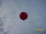100_8890_02_05_10.jpg