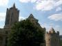 100_9041.JPG