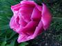 100_9314_06_10_2003.jpg