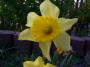 100_9316_06_10_2003.jpg