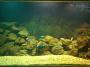 12062011068_06_10_2003.jpg