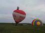 DSC00556_02_05_10.jpg