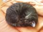 DSC00680_16_05_2010.jpg