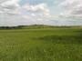 DSC00688_16_05_2010.jpg