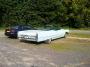 DSC00786x.JPG