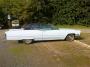 DSC00787x.JPG
