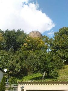 DSC00858-030.jpg