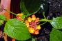 DSC08920.JPG