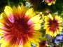 DSC09041.JPG