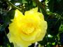 DSC09042.JPG