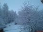 DSC09324.JPG