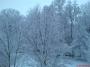 DSC09325.JPG