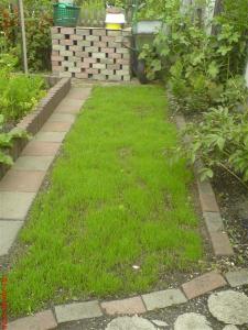 DSC09346.JPG