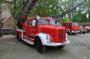DSC_2719_29_05_2010.jpg