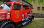 DSC_2724_29_05_2010.jpg