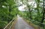 DSC_3513_07_07_2010.jpg