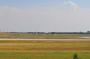 DSC_4051_13_07_2010.jpg