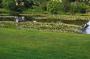 DSC_4606_14_07_2010.jpg